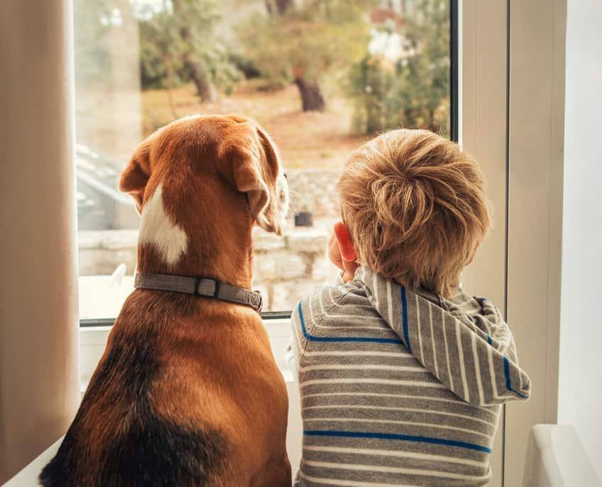 Small child and big dog looking through window