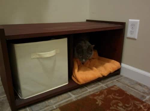 Cat lies in storage shelf bench with orange blanket