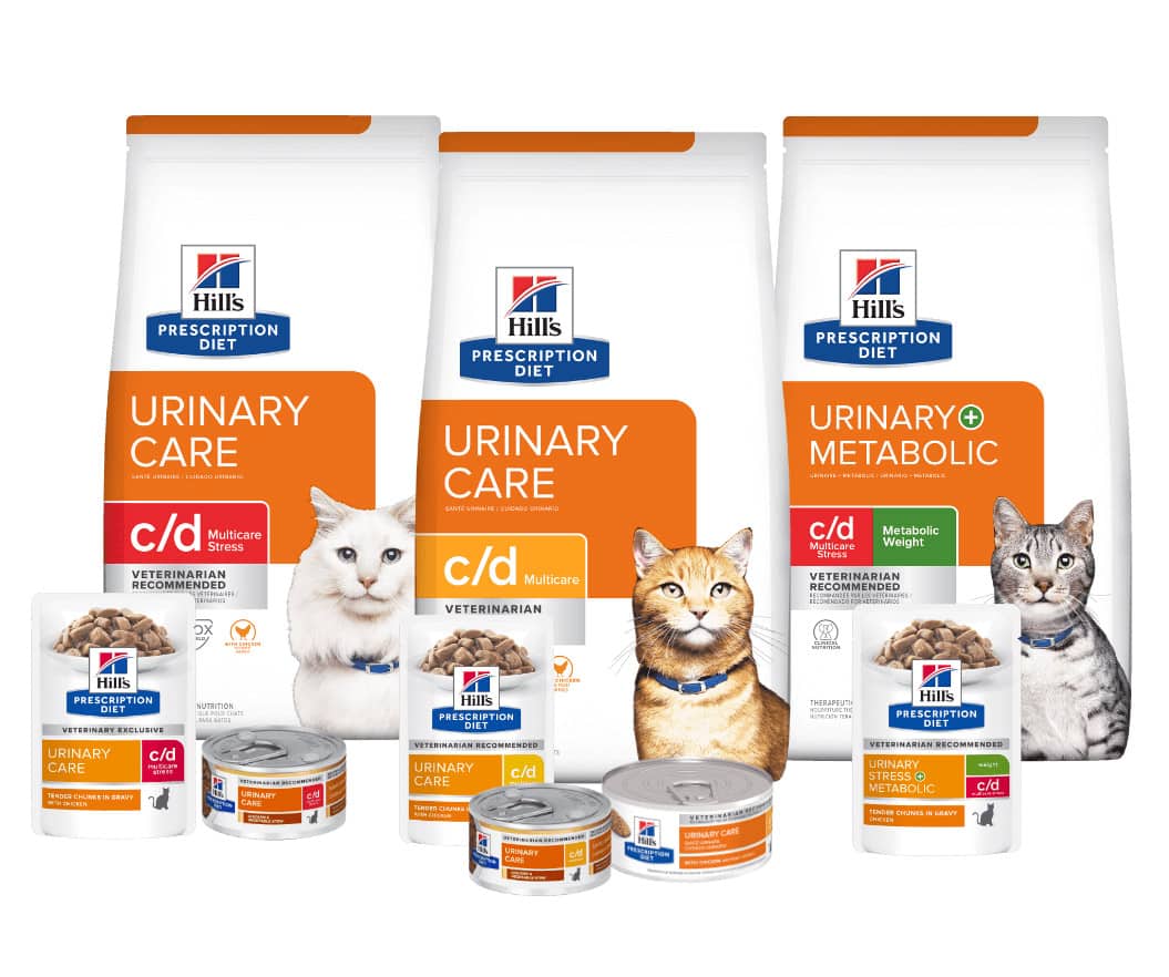 Urinary care cat food 
