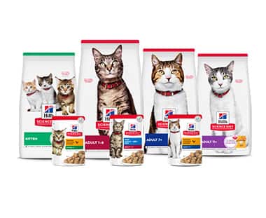 Lifestage cat foods