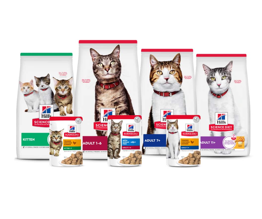 Lifestage cat foods