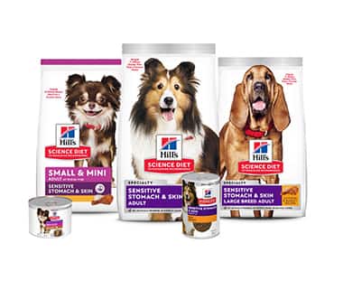 Digestive health dog foods