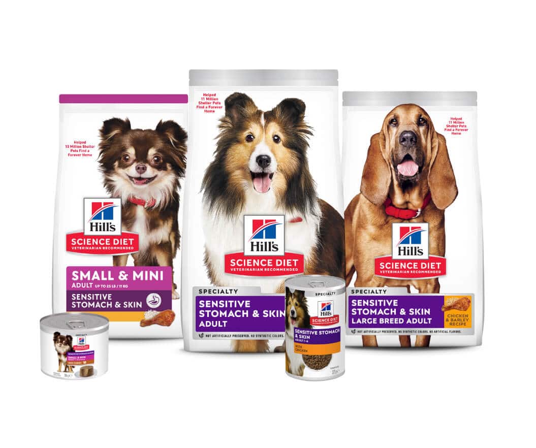 Digestive health dog foods
