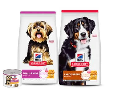 Science Diet for small and large breed 
